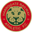 Harrogate Railway Athletic